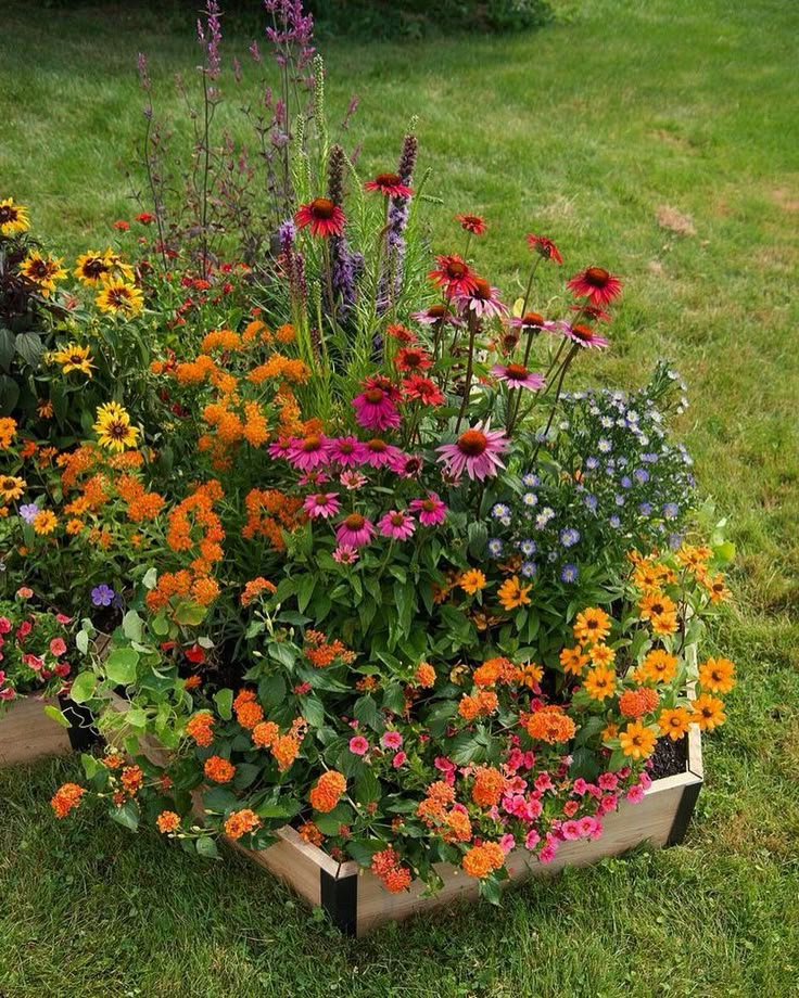 Flowerbomb - 60+ Mixade Fleråriga Blomfrön
