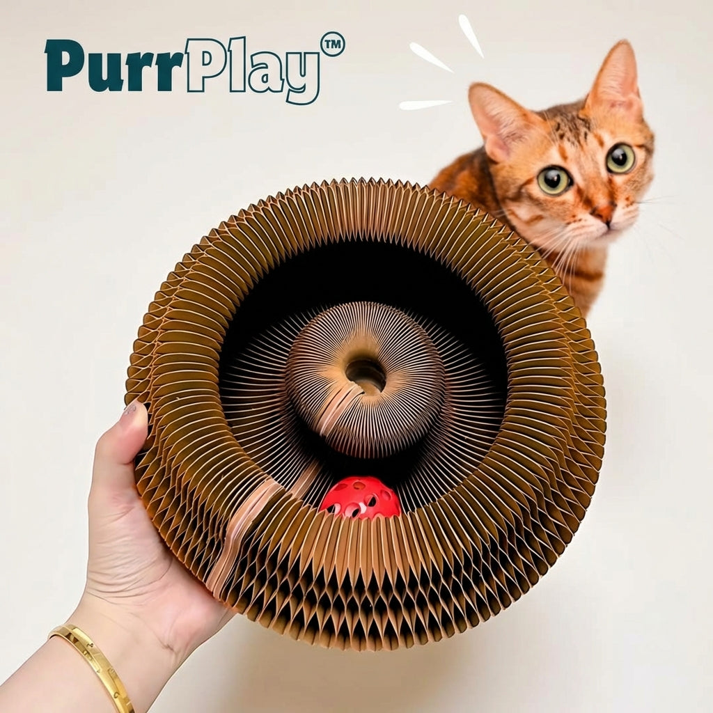 PurrPlay - Interaktiv klös- & aktiveringsleksak för innekatter