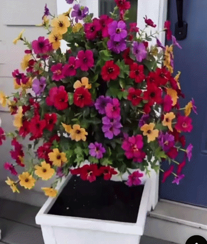 EverBloom Blumen